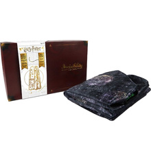 Плащ-невидимка WIZARDING WORLD WW-1086