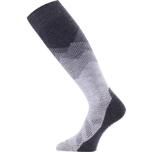 Шкарпетки LASTING FWM M Gray (002.003.4366)