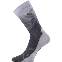 Носки LASTING FWR S Gray (002.003.4220)