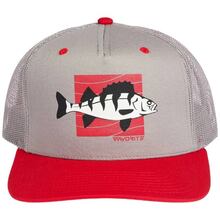 Кепка FAVORITE Perch 58 Gray/Red (1693.55.71)