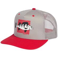 Кепка FAVORITE Perch 58 Gray/Red (1693.55.71)