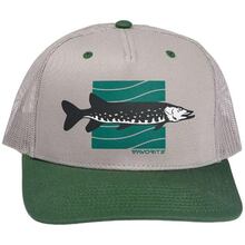 Кепка FAVORITE Pike 58 Gray/Green (1693.55.72)