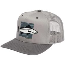 Кепка FAVORITE Zander 58 Gray (1693.55.73)