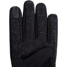 Рукавицы TREKMATES Ogwen Stretch Grip Glove TM-006309 Black L (015.0982)