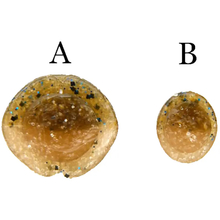 Силикон KEITECH Swing Impact 2.5" PAL#09 Violet Fire 10 шт (1551.06.62)