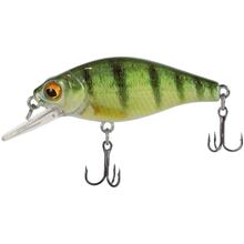 Воблер X-FISH Chipotel 50F 50 мм 6 г #289 (S-LI50#289)