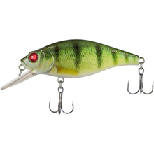 Воблер X-FISH Chipotel 90F 90mm 23g #289 1.5-2.5m (S-LI90#289)