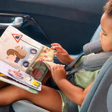 Центр розвитку TAF TOYS Книга мандрівника (13852)