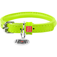 Нашийник для собак WAUDOG Glamour круглий з QR 8 мм 20-25 см Light Green (22405)