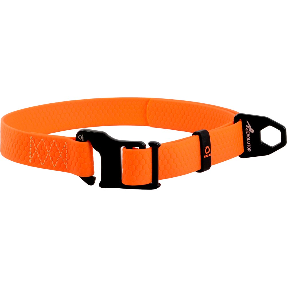 

Ошейник для собак Evolutor 25 мм 25 - 70 см Orange (42434), Нашийник регульований, універсальний (Ш 25мм, Д 25