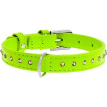 Нашийник WAUDOG Glamour зі стразами Ш 15 мм, Д 27-36 см Green (32775)