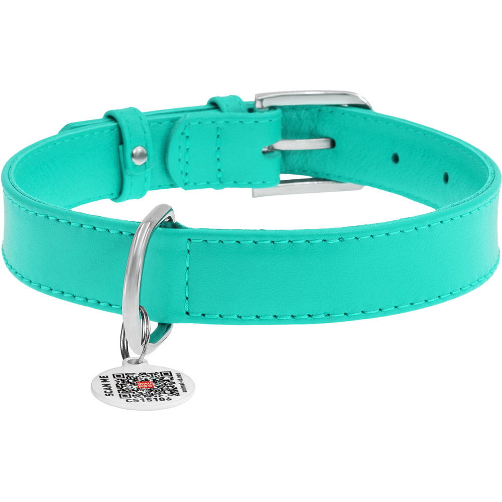 

Ошейник для собак WAUDOG GLAMOUR c QR 35 мм 46-60 см Mint (332213), Нашийник шкір. Glamour з QR пасп., без прикрас, Ш