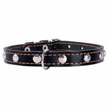 Ошейник COLLAR Ш 14 мм Д 27-35 см Black (00041)