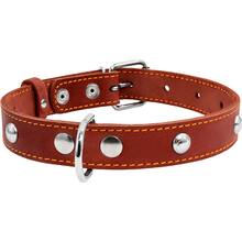 Нашийник для собак Collar з прикрасами 20 мм 32 - 40 см Brown (01356)