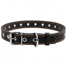 Ошейник COLLAR Ш 20 мм Д 50 см Black (01511)