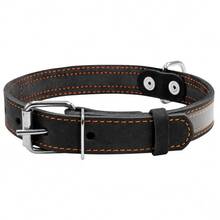 Нашийник COLLAR Ш 25 мм, Д 38-50 см Black (02491)