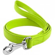 Повідець WAUDOG Glamour 122 см 18 мм Light green (33735)