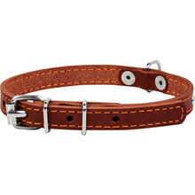 Нашийник для собак Collar із прикрасою XS 27-35 см 14 мм Brown (00046)