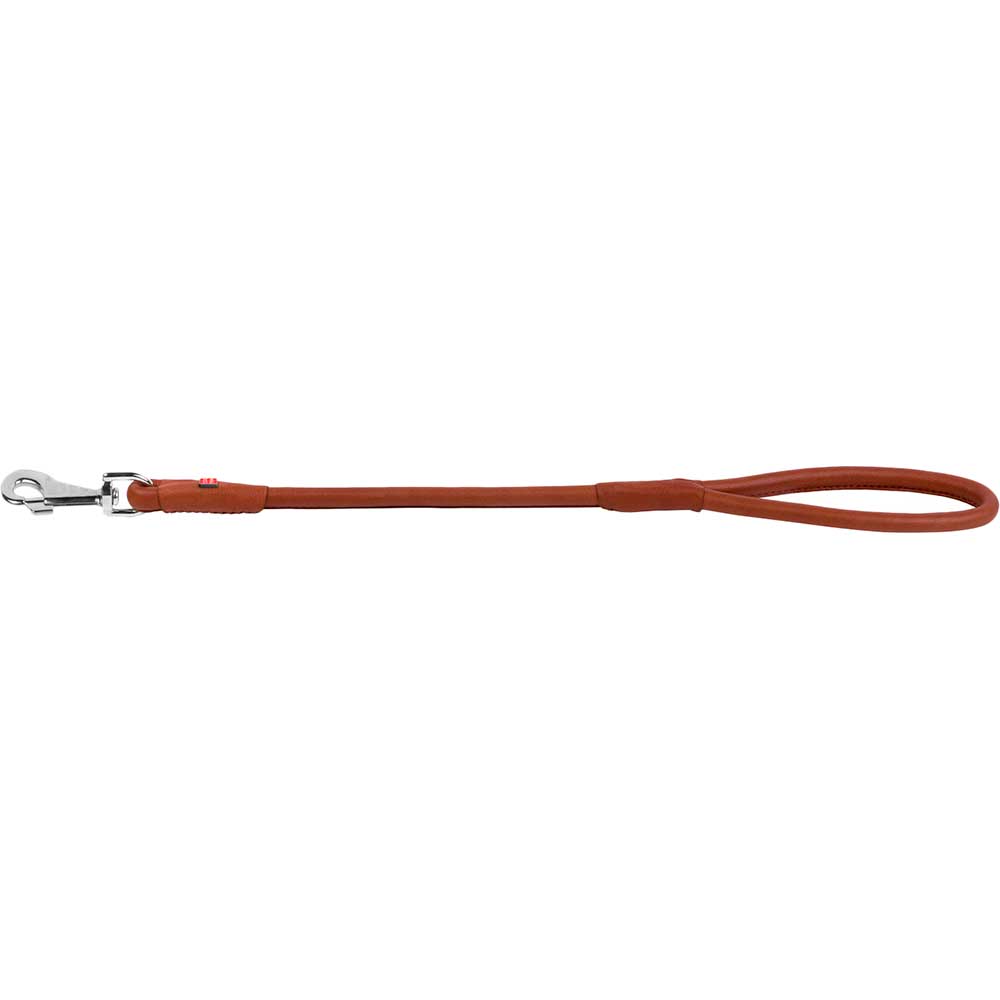 

Поводок для собак WAUDOG Soft 13 мм 55 см Brown (04856), Повідець шкір. Soft, круглий, Д 13 мм, Дов 55 см,
