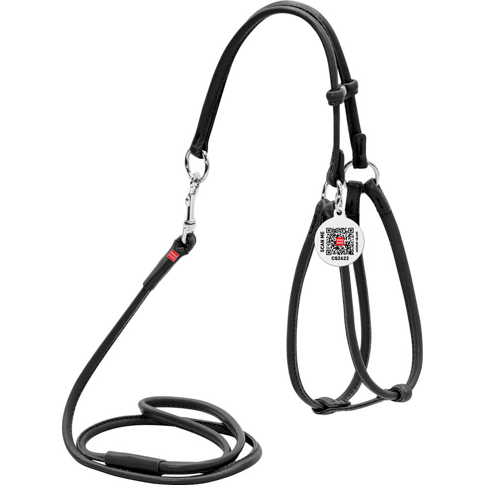 

Шлея для собак и кошек WAUDOG Glamour с поводком и QR 6 мм 90 см 42-60/46-64 см Black (34021), Шлея з повідцем Glamour з QR пасп., кругла, Д 6 мм