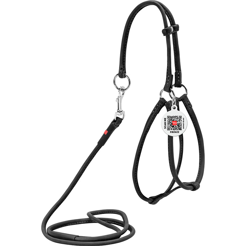 

Шлея для собак и кошек WAUDOG Soft с поводком и QR 6 мм 105 см 26-46/30-40 см Black (46231), Шлея з повідцем Soft з QR пасп., кругла, Д 6 мм, А