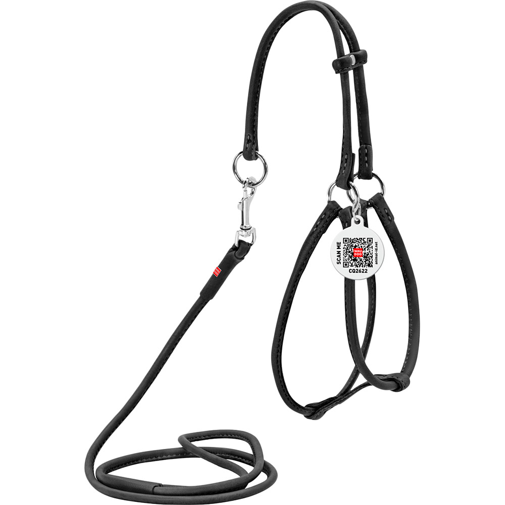 

Шлея для собак и кошек WAUDOG Soft с поводком и QR 6 мм 90 см 42-60/46-64 см Black (46201), Шлея з повідцем Soft з QR пасп., кругла, Д 6 мм, А