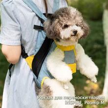 Рюкзак-перенесення INSPIRE Dono M Blue (insDono-M)