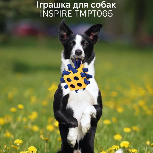 Внешний вид Игрушка для собак INSPIRE 10x10x10 см Blue (TMPT065-blue)