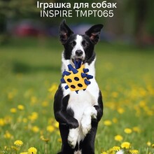 Игрушка для собак INSPIRE 10x10x10 см Blue (TMPT065-blue)