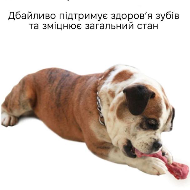 Іграшка для тварин INSPIRE Bone Red (game-bone) Додатково висока стійкість до укусів; сприяє очищенню зубів; допомагає знизити стрес та тривожність