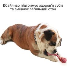 Іграшка для тварин INSPIRE Bone Red (game-bone)