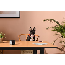 Wi-Fi камера PETKIT  Petcube Play 2 (PP20US)