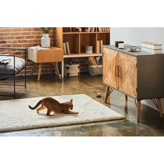 Изображение Wi-Fi камера PETKIT  Petcube Play 2 (PP20US)