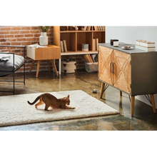 Wi-Fi камера PETKIT  Petcube Play 2 (PP20US)