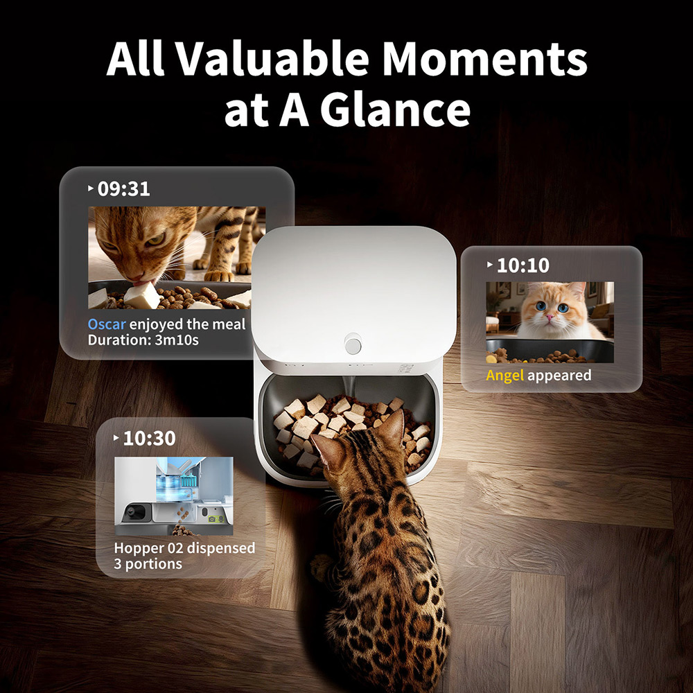 Покупка Смарт-кормушка PETKIT YUMSHARE DUAL-HOPPER 2 with Cam (P592)