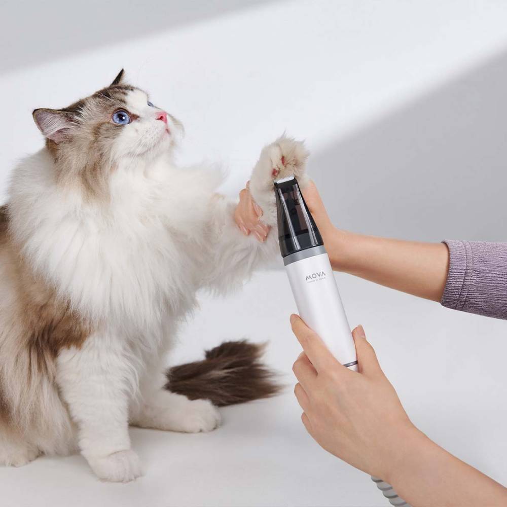 В Украине Набор для груминга MOVA Pet Grooming G1Pro (CH2)