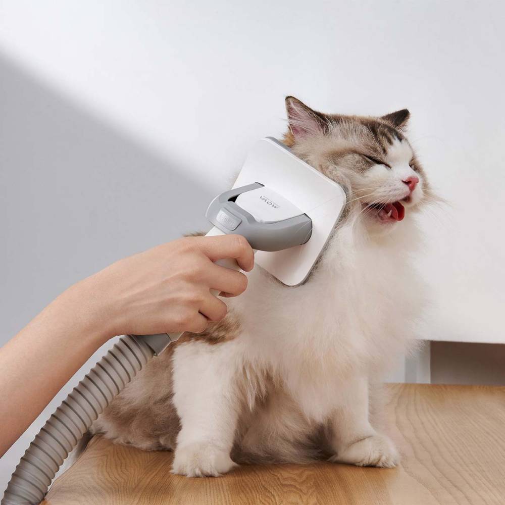 Обзор Набор для груминга MOVA Pet Grooming G1Pro (CH2)