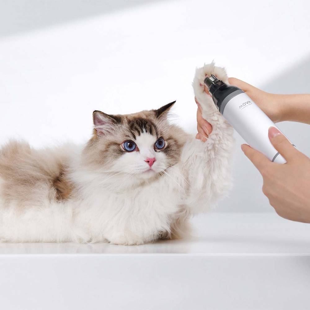 Фото 14 Набор для груминга MOVA Pet Grooming G1Pro (CH2)