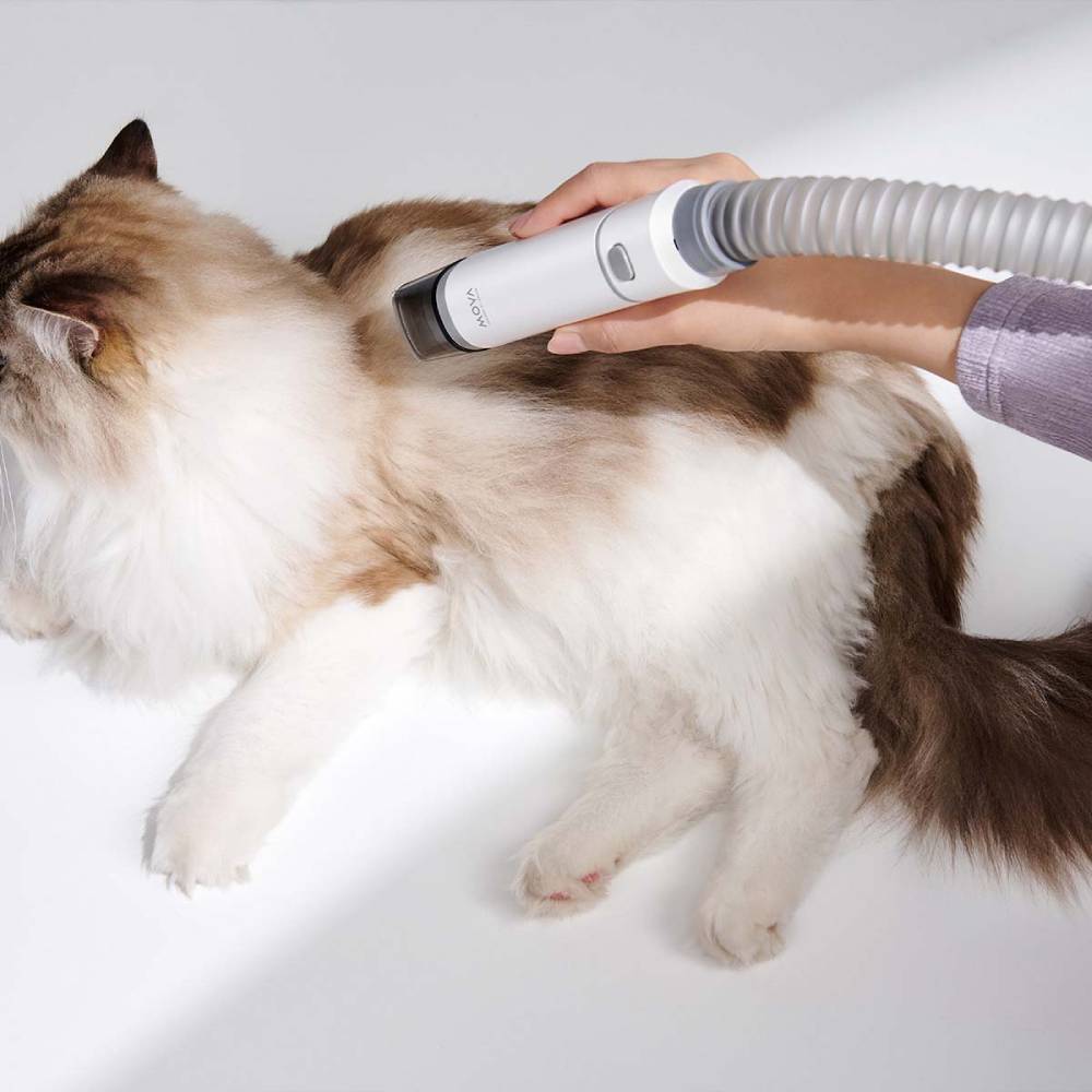 Фото 15 Набор для груминга MOVA Pet Grooming G1Pro (CH2)