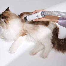 Набор для груминга MOVA Pet Grooming G1Pro (CH2)