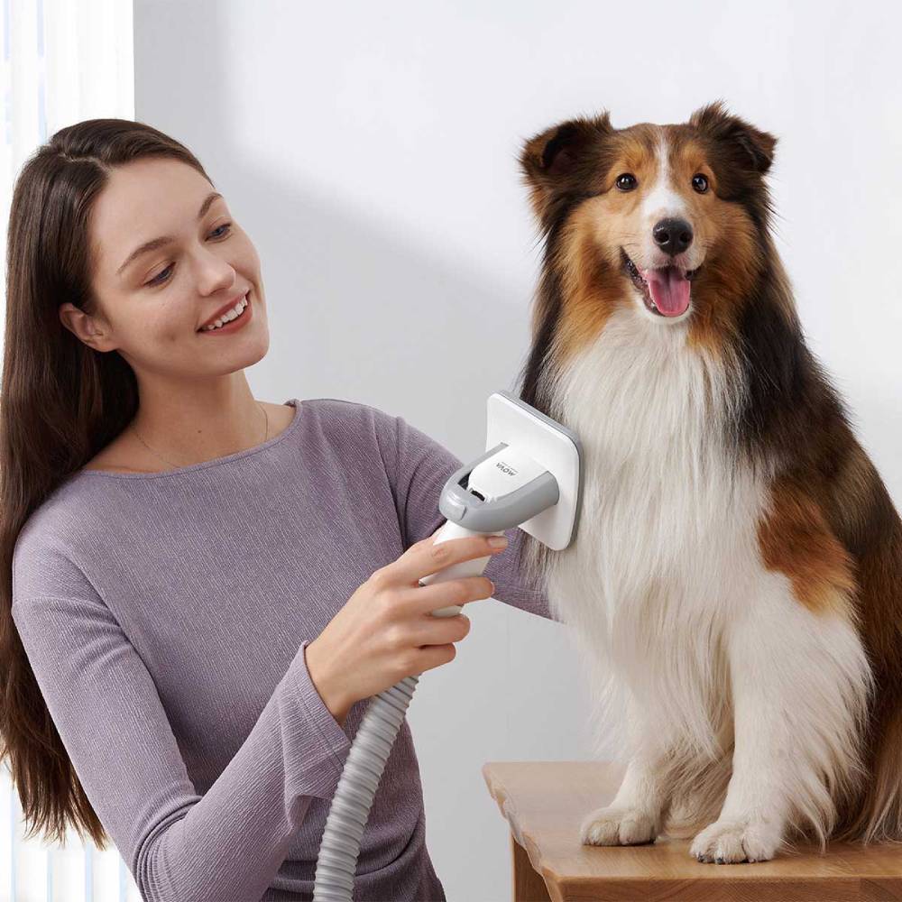 Изображение Набор для груминга MOVA Pet Grooming G1Pro (CH2)