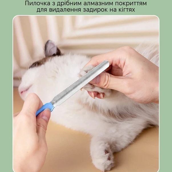 Зовнішній вигляд Ножиці INSPIRE LQKL867 Blue