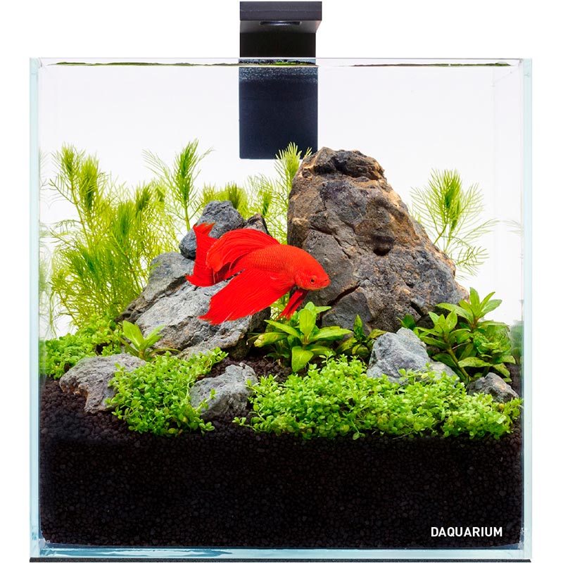 

Аквариумный набор Collar DAQUARIUM Pico Set 170х170х170 мм 5 л (7141), Комплект Pico Set 5 літрів