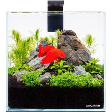 Акваріумний набір Collar DAQUARIUM Pico Set 170х170х170 мм 5 л (7141)