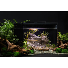 Умный аквариум ERAARK Smart Fish Tank PRO 15 л (AQ-1S)