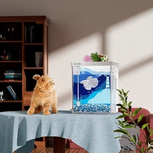 Умный аквариум ERAARK Smart Fish Tank MINI 5 л (4106)