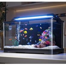 Акваріум Xiaomi QUANGE Lazy Fish White (Ф33483)