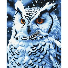 Картина по номерам ARTCRAFT Ночная птица 40х50 см (11562-AC)