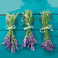 Картина за номерами ARTCRAFT Лавандове тріо 40 x 40 см (13114-AC)