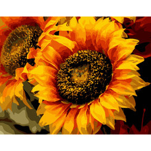 Картина по номерам ARTCRAFT Шпион солнца 40 x 50 см (13106-AC)